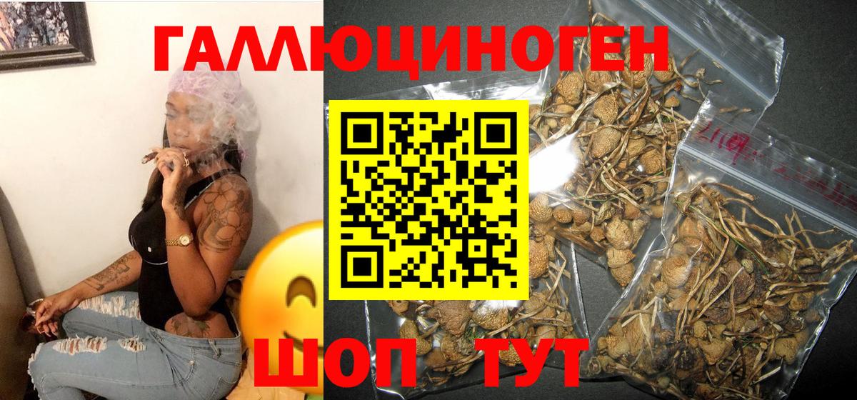 Лысьва  Псилоцибиновые грибы MAGIC MUSHROOMS  Галлюциногенные грибы мухоморы  Вход с VPN 