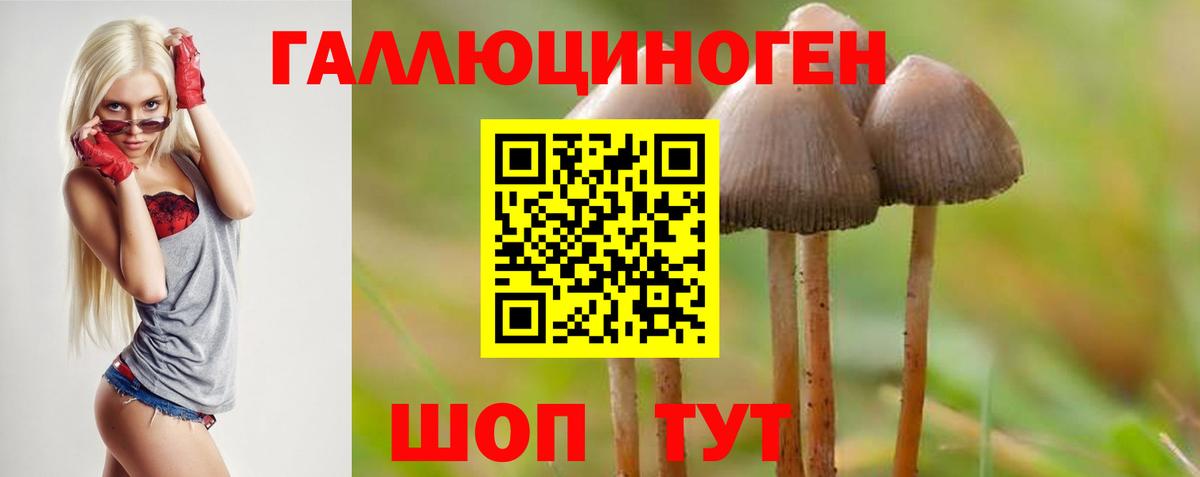Псилоцибиновые грибы мухоморы Лысьва